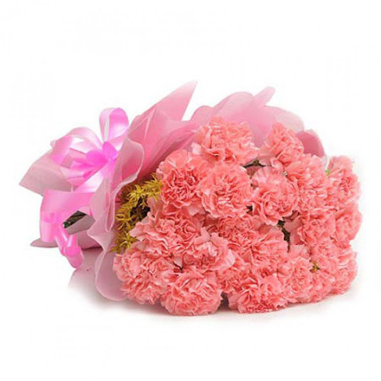 Pink Carnations Posy