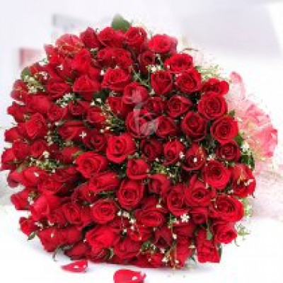 Love Beyond Words 100 Roses Bunch