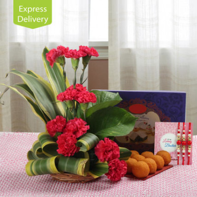 Rakhi Carnations Beauty